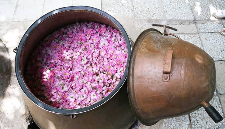 تصویر 1 از قیمت خرید گلاب کرمان + فروش ویژه